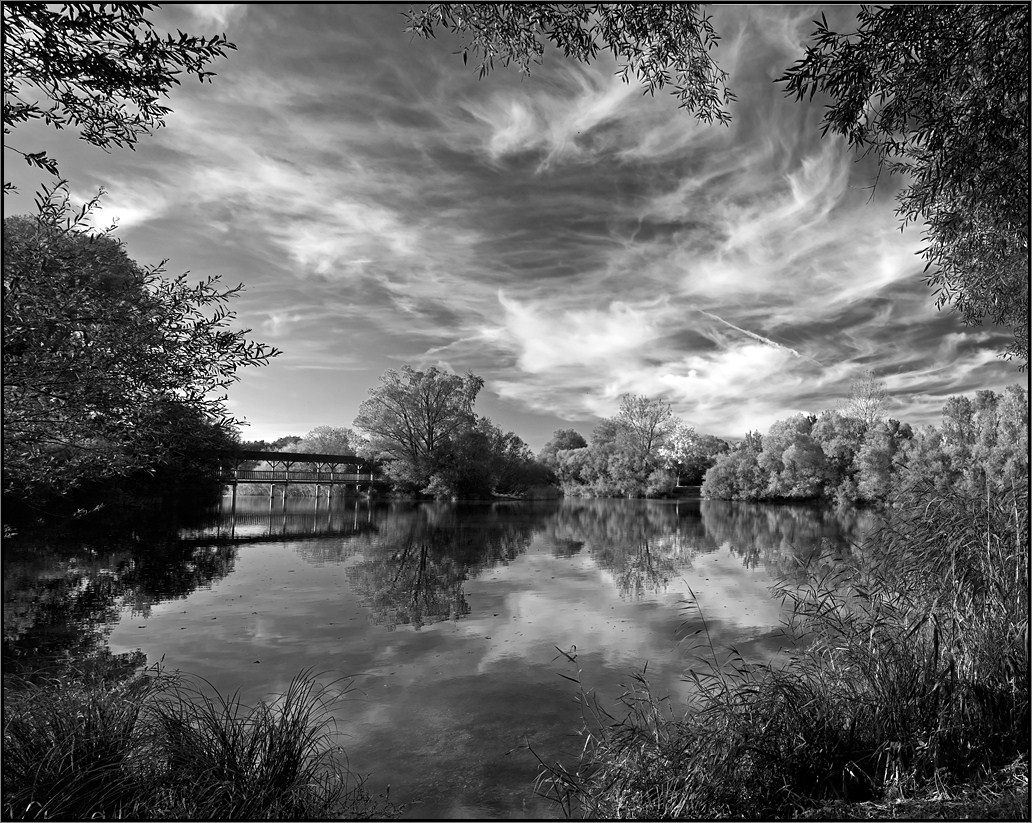 фото "***" метки: пейзаж, черно-белые, осень