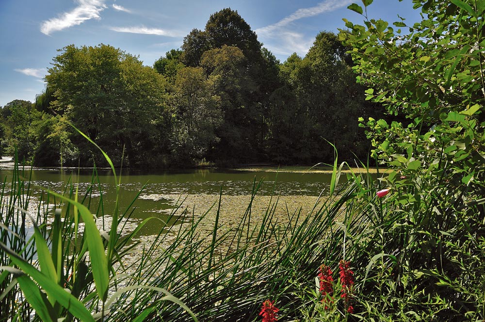 photo "***" tags: landscape, summer