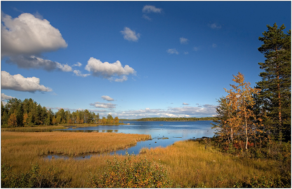 photo "Segeja river" tags: landscape, autumn, water