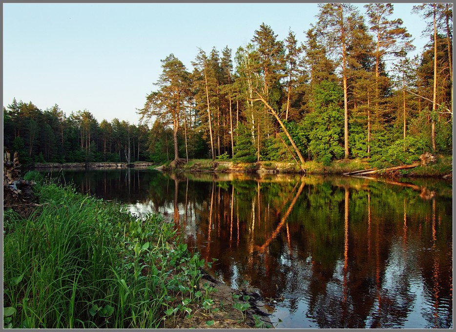 photo "***" tags: landscape, forest, summer