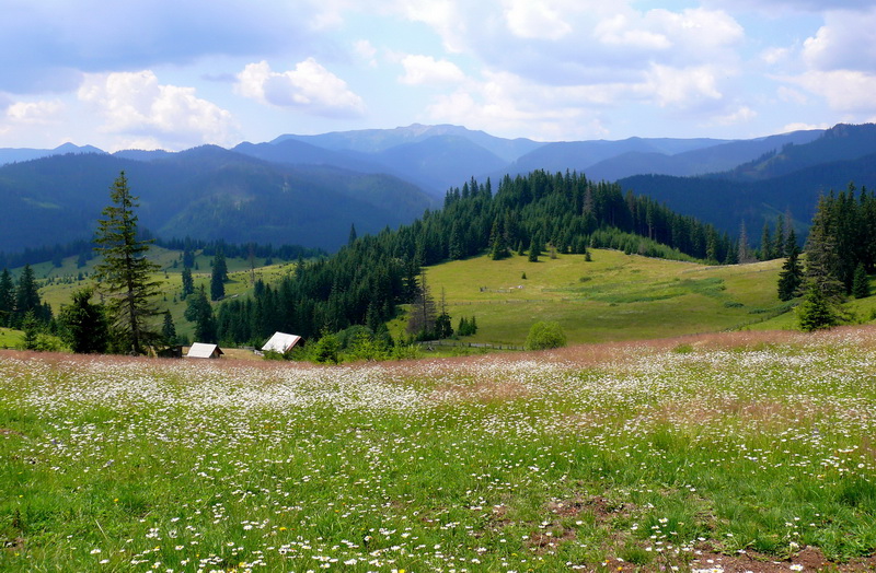 photo "Domaine de Daisy" tags: landscape, travel, Europe, mountains