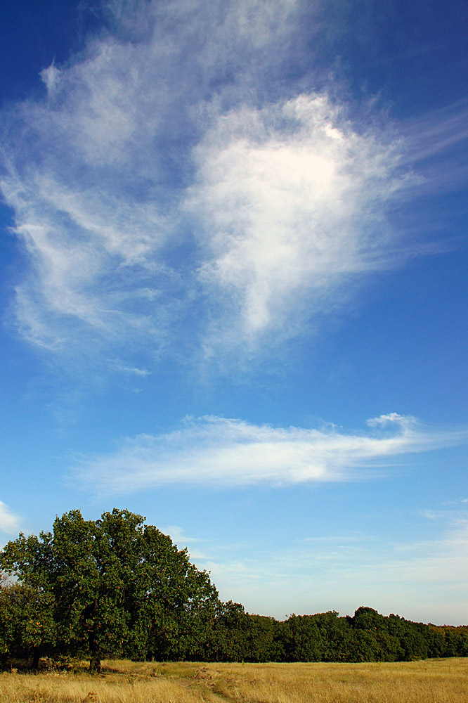 photo "пейзаж небо" tags: landscape, autumn, forest