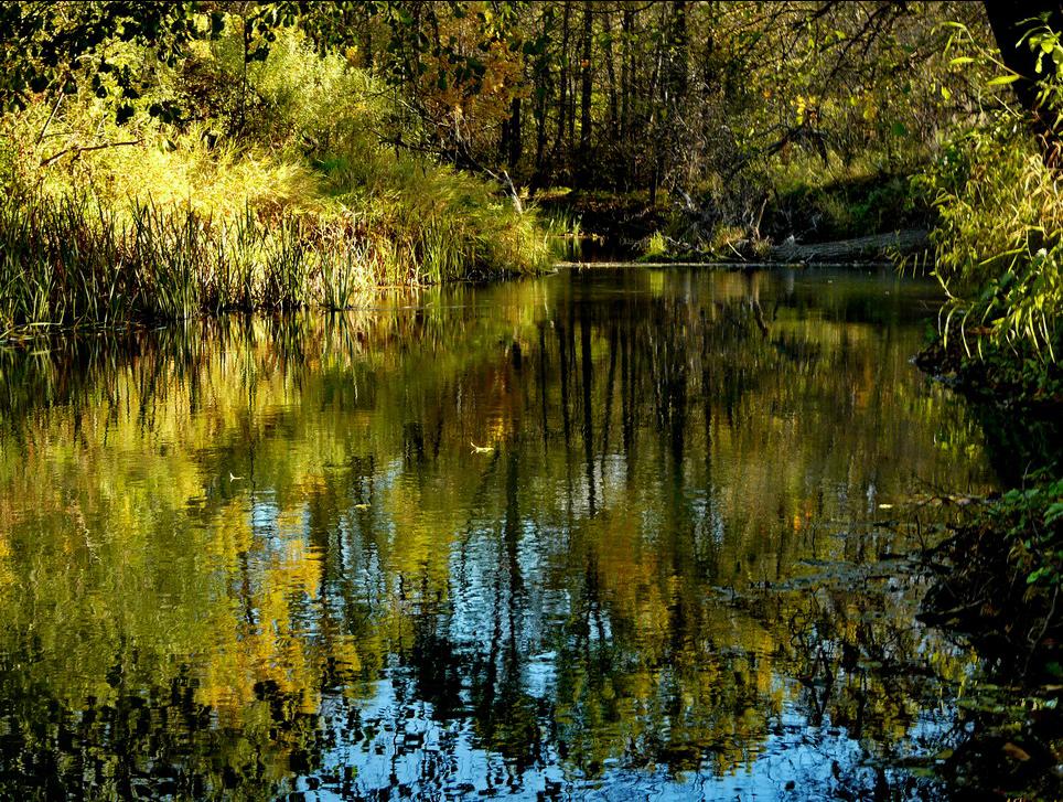 фото "Осень на Черемшане" метки: пейзаж, осень