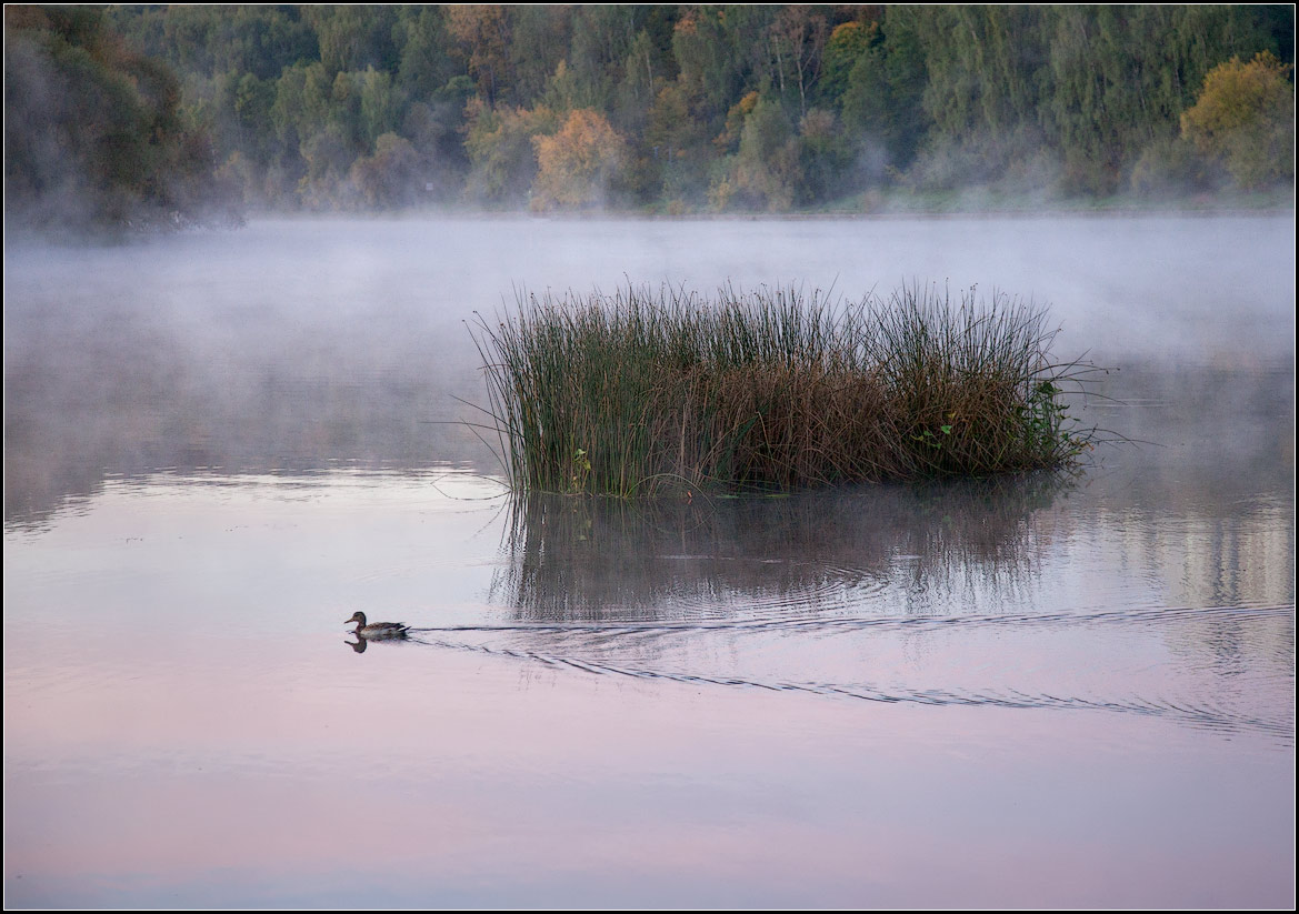 photo "Fog over water" tags: landscape, autumn, water