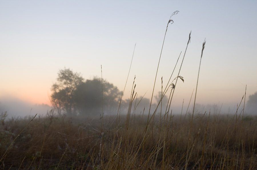 photo "***" tags: landscape, misc., sunset