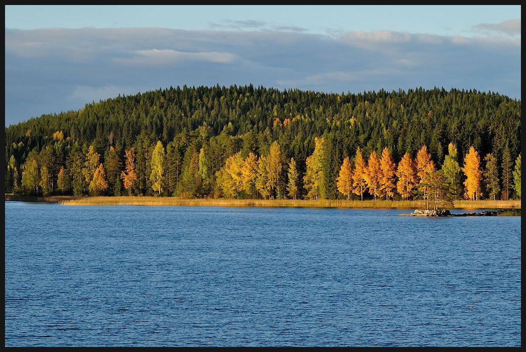 photo "Autumn01" tags: landscape, autumn
