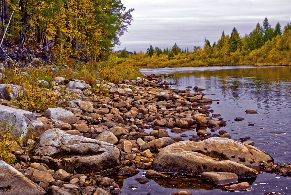 photo "***" tags: landscape, autumn, forest