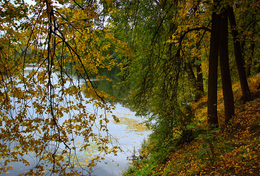 фото "..мелодия сентября..." метки: пейзаж, осень