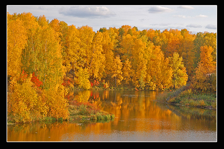 фото "Запруда" метки: пейзаж, осень