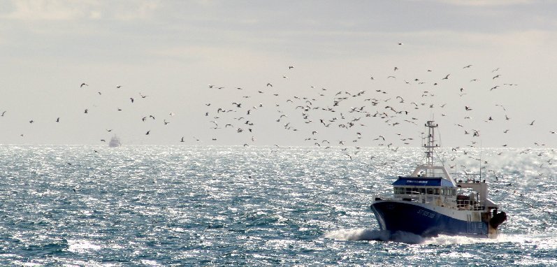 photo "sea, light and seagulls" tags: landscape, water