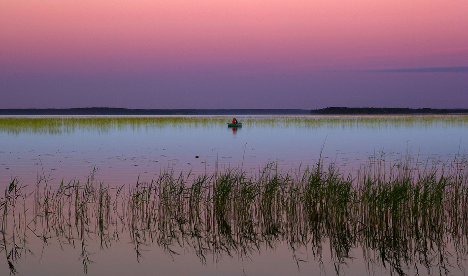 photo "***" tags: landscape, summer