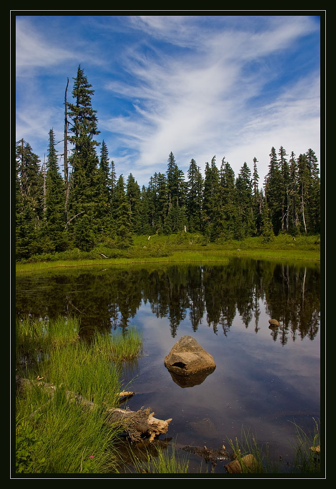 photo "Palm-like sky" tags: landscape, forest, water