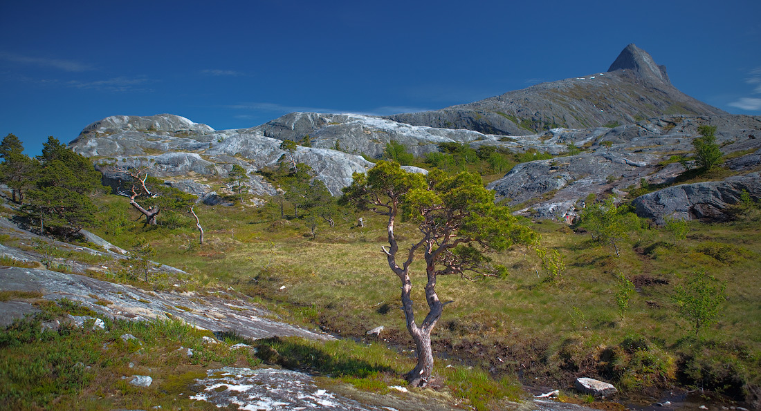photo "***" tags: landscape, 