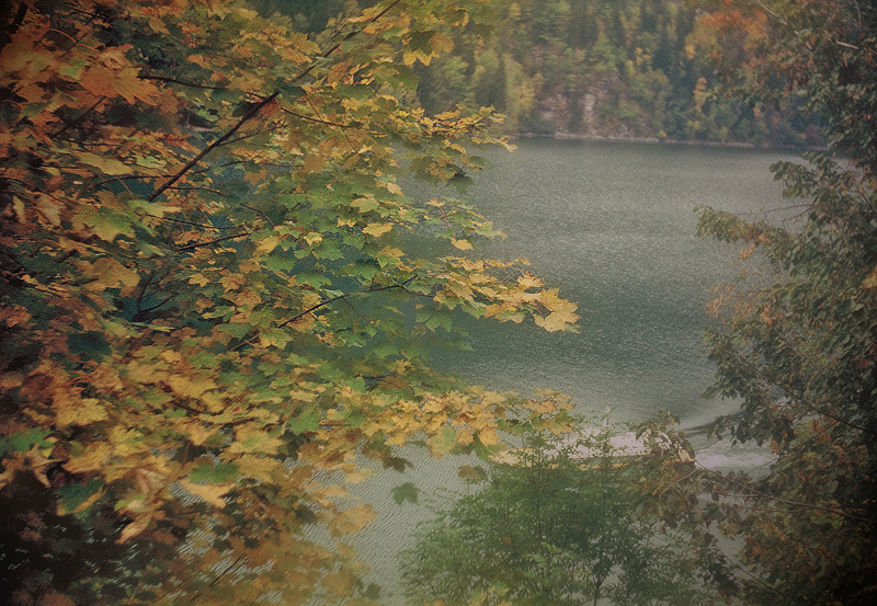 фото "Осень на озере Рица" метки: путешествия, 