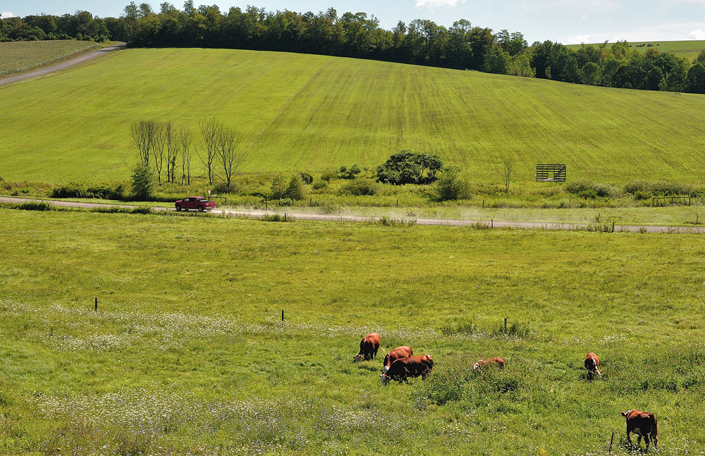 photo "***" tags: landscape, summer