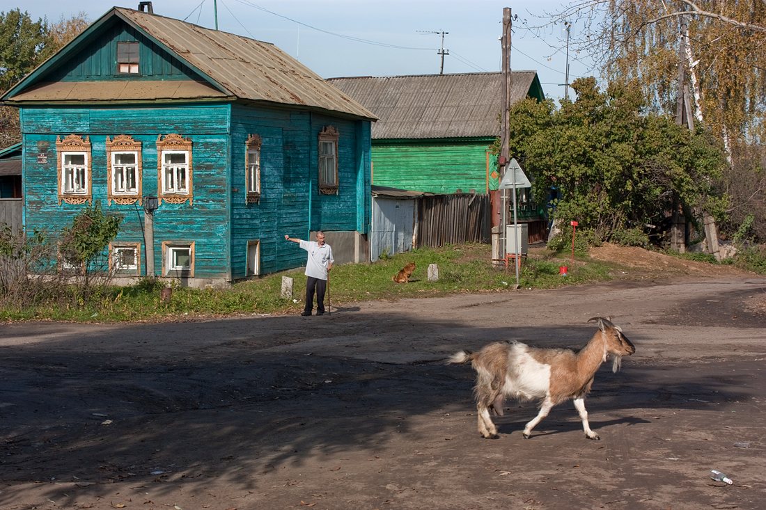 фото "А ну вернись!" метки: жанр, юмор, Ярославль, домашние животные, здание