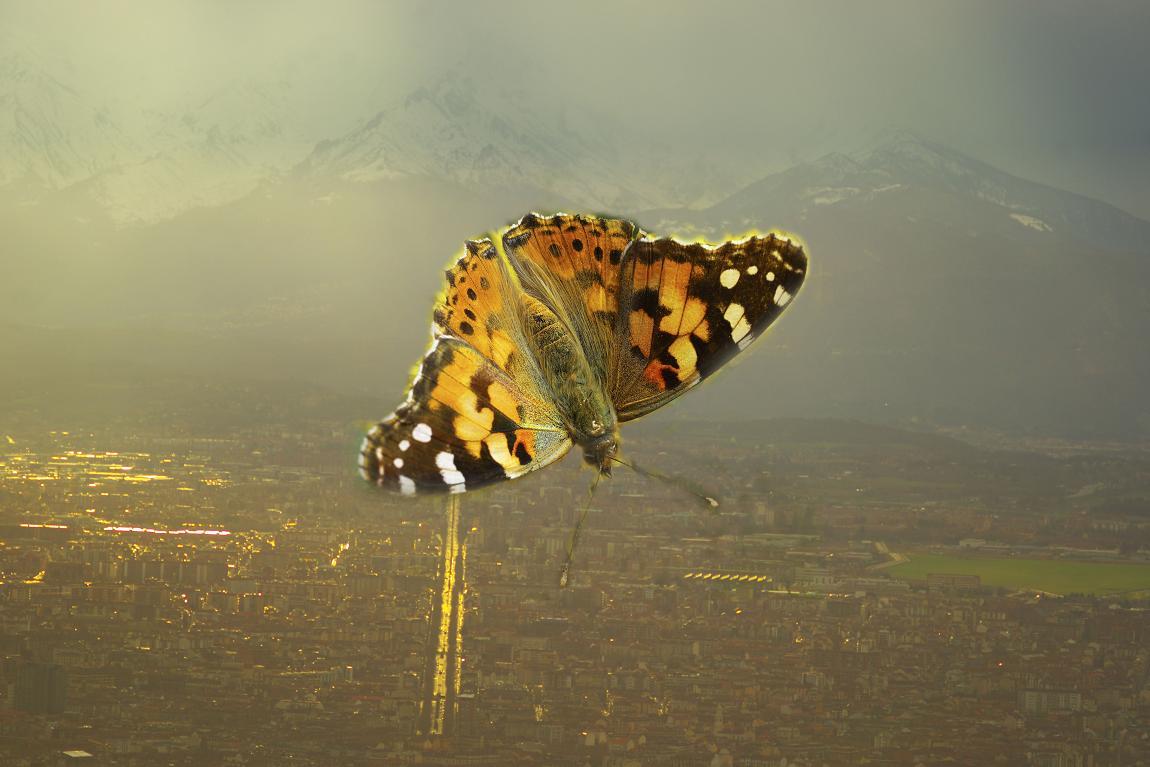 фото "the butterfly brand" метки: фотомонтаж, пейзаж, 