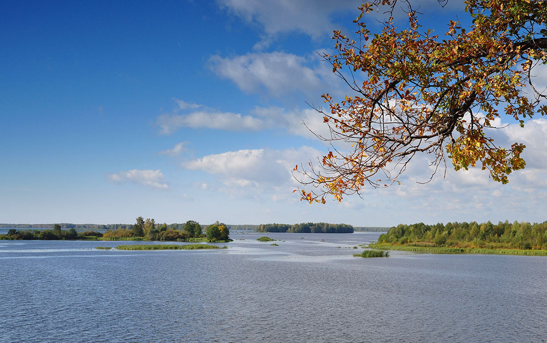 photo "***" tags: landscape, autumn, water