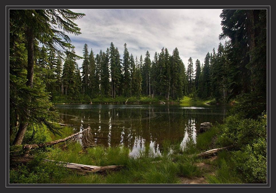 photo "Still water runs deep" tags: landscape, forest, water