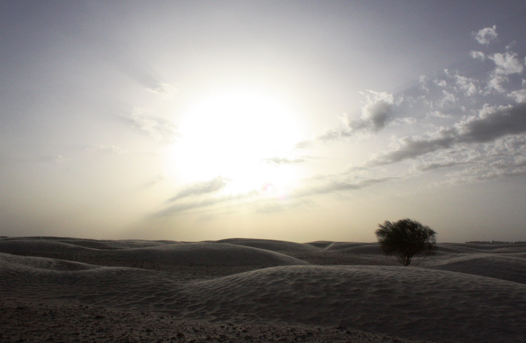 photo "Sahara" tags: landscape, travel, Africa, summer