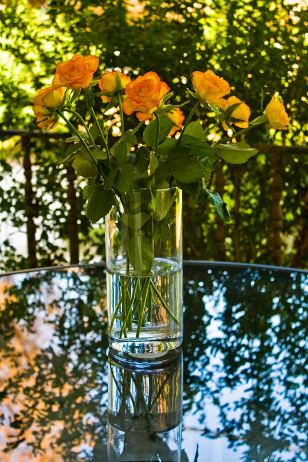 photo "***" tags: nature, still life, flowers