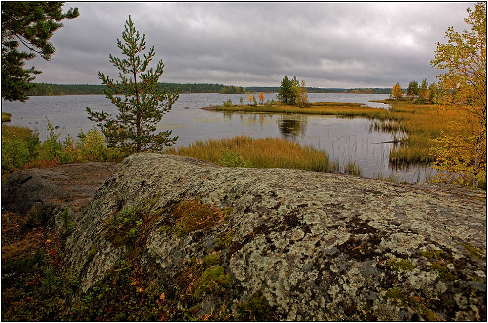 photo "Lichen" tags: landscape, autumn, water