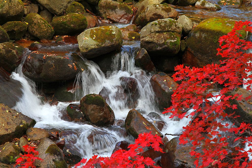 photo "***" tags: landscape, autumn