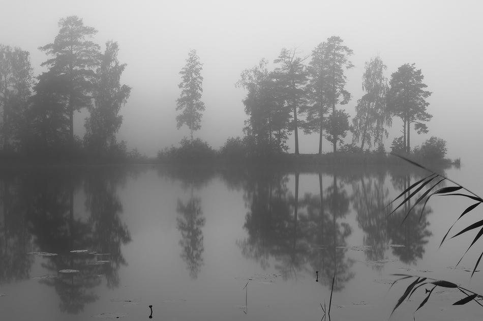 photo "***" tags: landscape, black&white, 