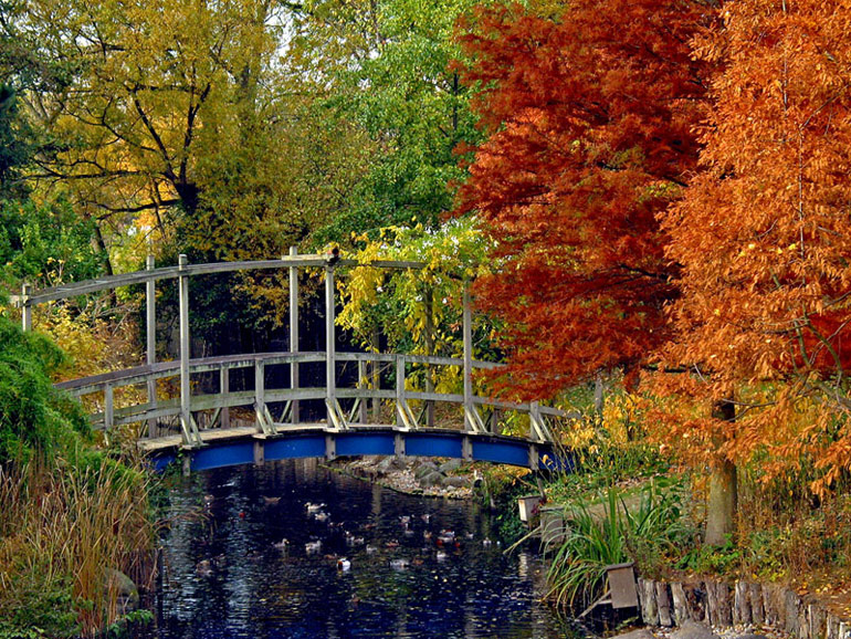photo "Autumn Colors" tags: landscape, autumn