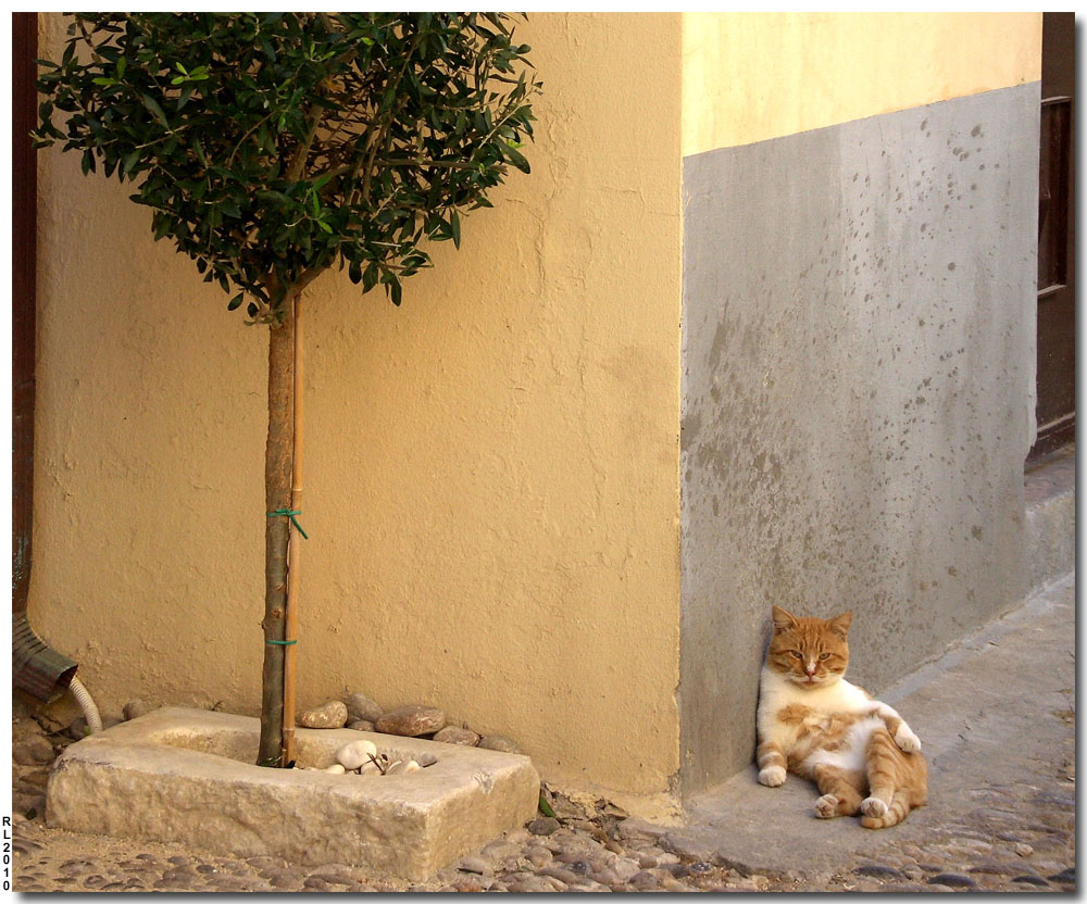 photo "Siesta" tags: genre, reporting, 