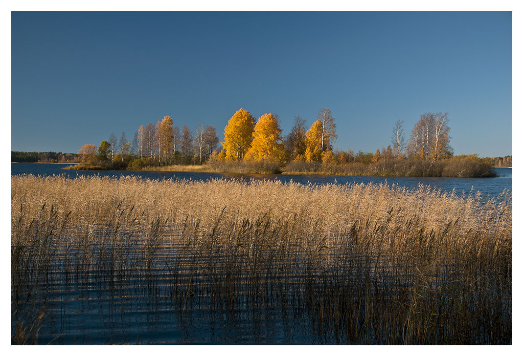 photo "***" tags: landscape, autumn, water