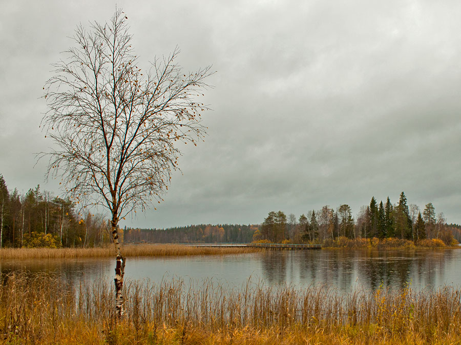 photo "***" tags: landscape, autumn