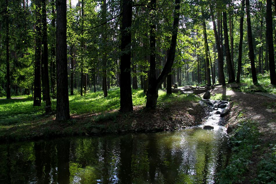 фото "Ах,лето..." метки: пейзаж, вода, лес