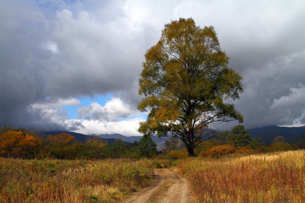 photo "***" tags: landscape, autumn