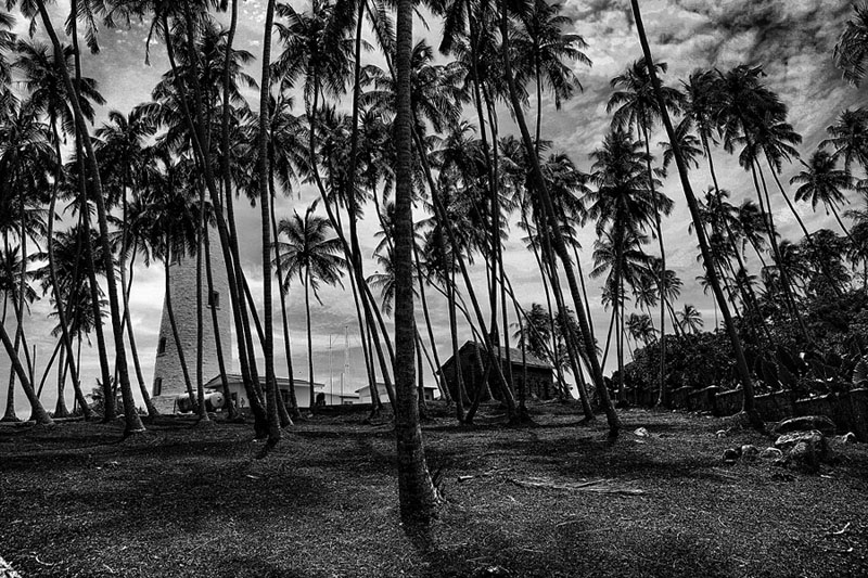 фото "Остров пальм" метки: , 