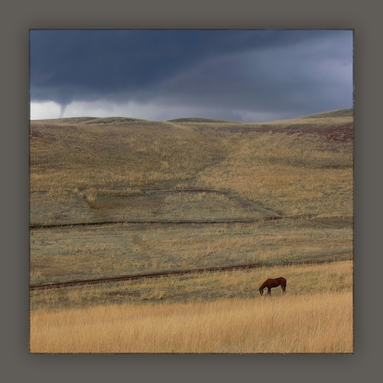 photo "Лошадь и смерч" tags: landscape, clouds