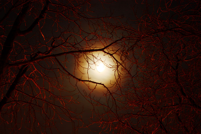 фото "the moon" метки: абстракция, 