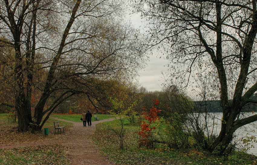 фото "Свидание в Серебряном бору (2004)" метки: жанр, 