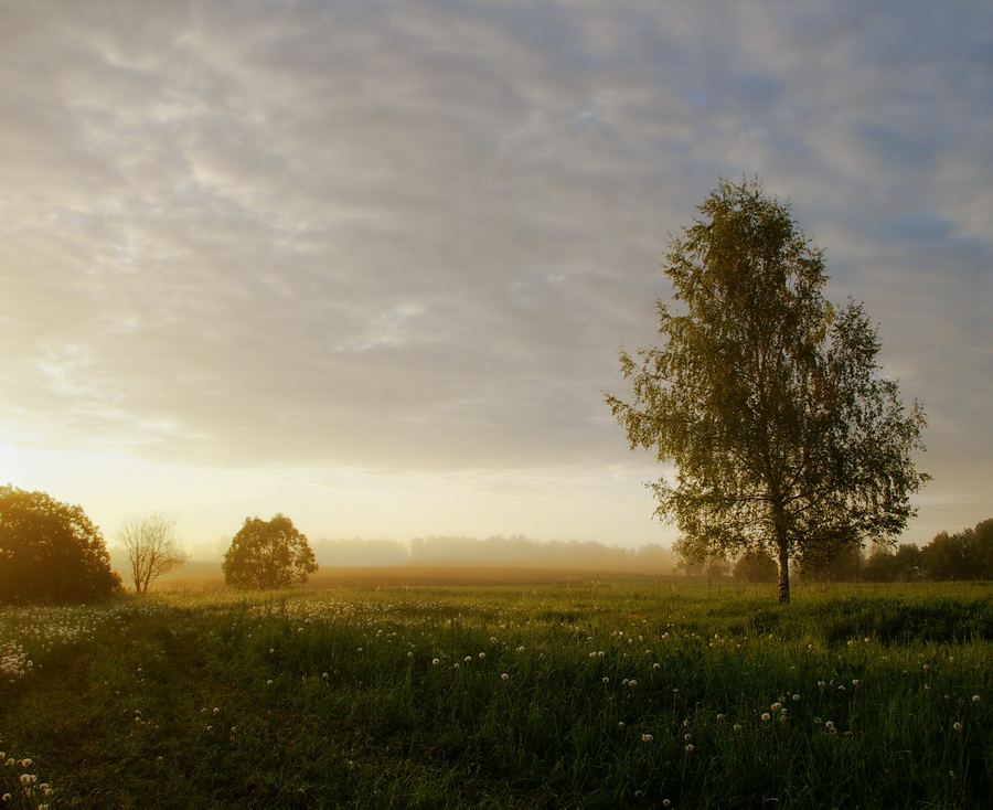 photo "***" tags: landscape, 