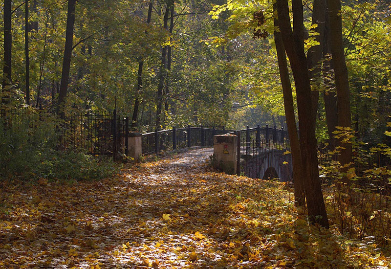 photo "***" tags: landscape, autumn