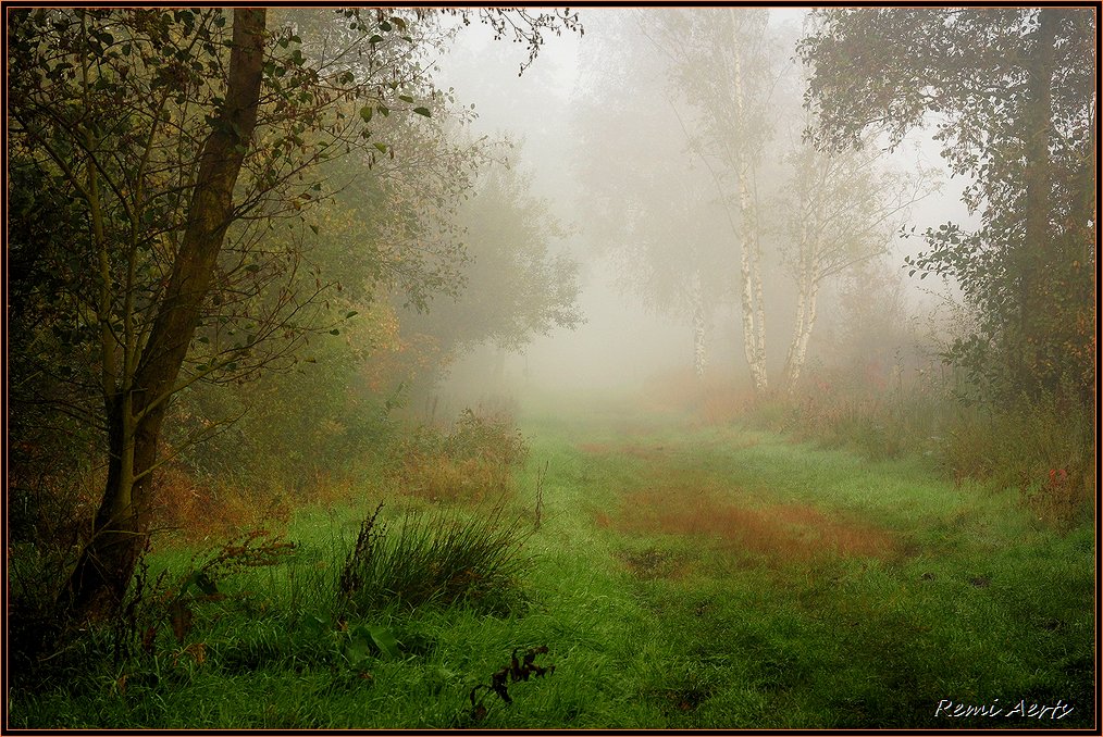 фото "18 sept. 2010" метки: пейзаж, природа, закат, цветы