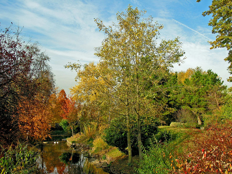 фото "Beauty of Autumn" метки: пейзаж, осень
