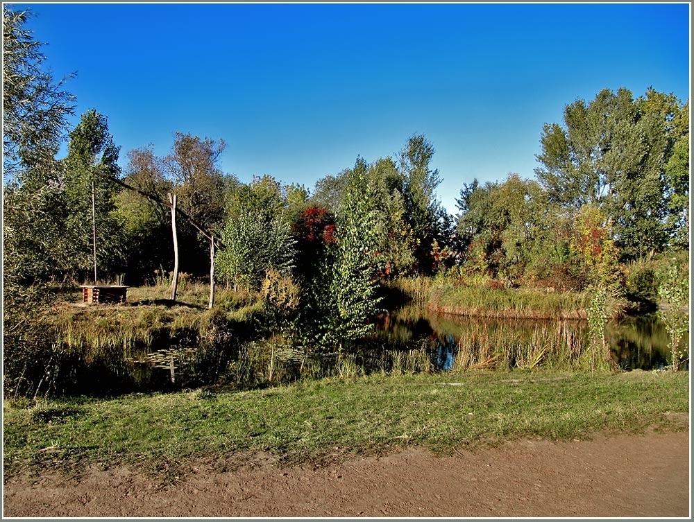 фото "Журавль" метки: пейзаж, вода, осень