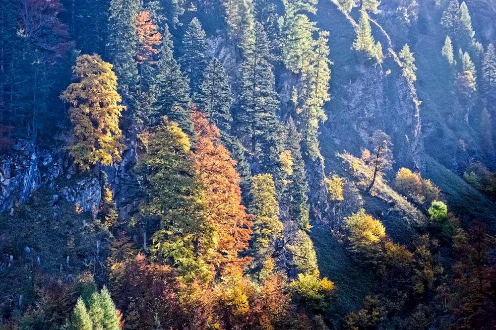 фото "7 y later" метки: пейзаж, лес, осень