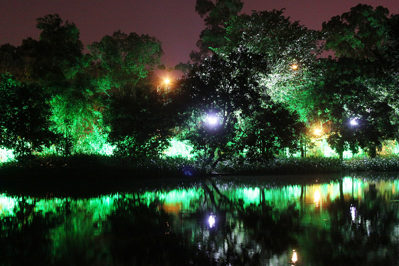 фото "Огни ночного парка" метки: пейзаж, город, ночь