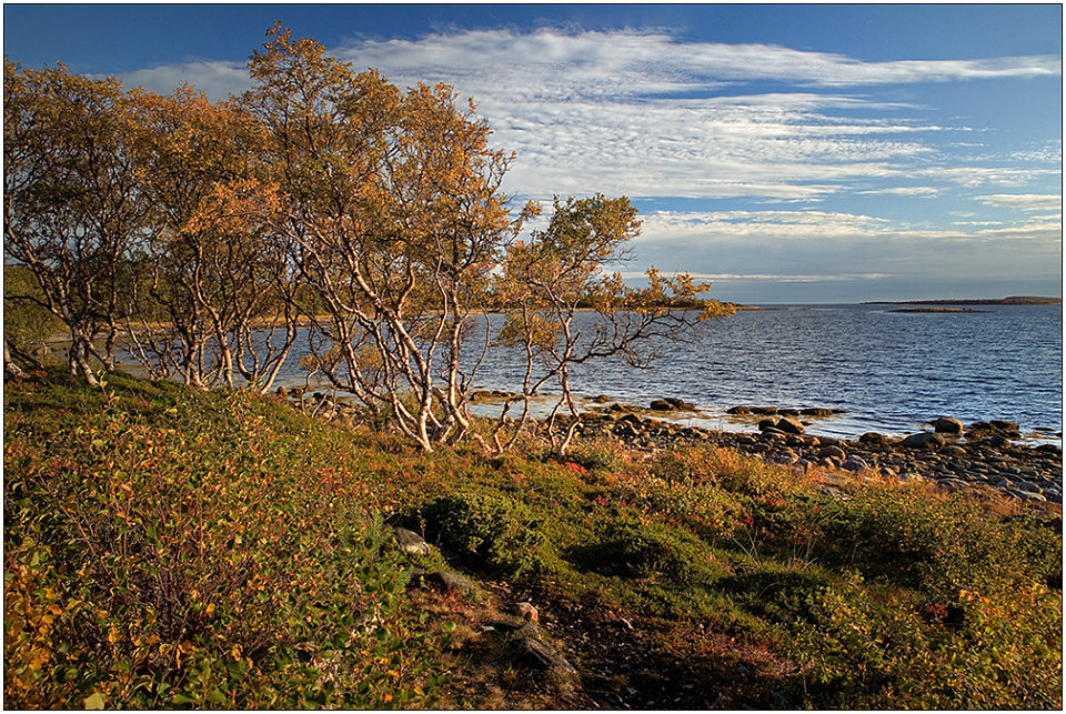 photo "Subject to winds" tags: landscape, autumn, water