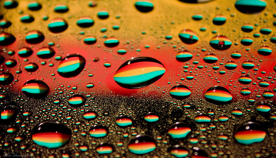 photo "***" tags: macro and close-up, 
