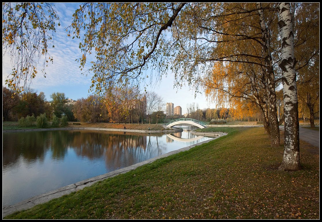 photo "Autumn in the city" tags: landscape, city, autumn