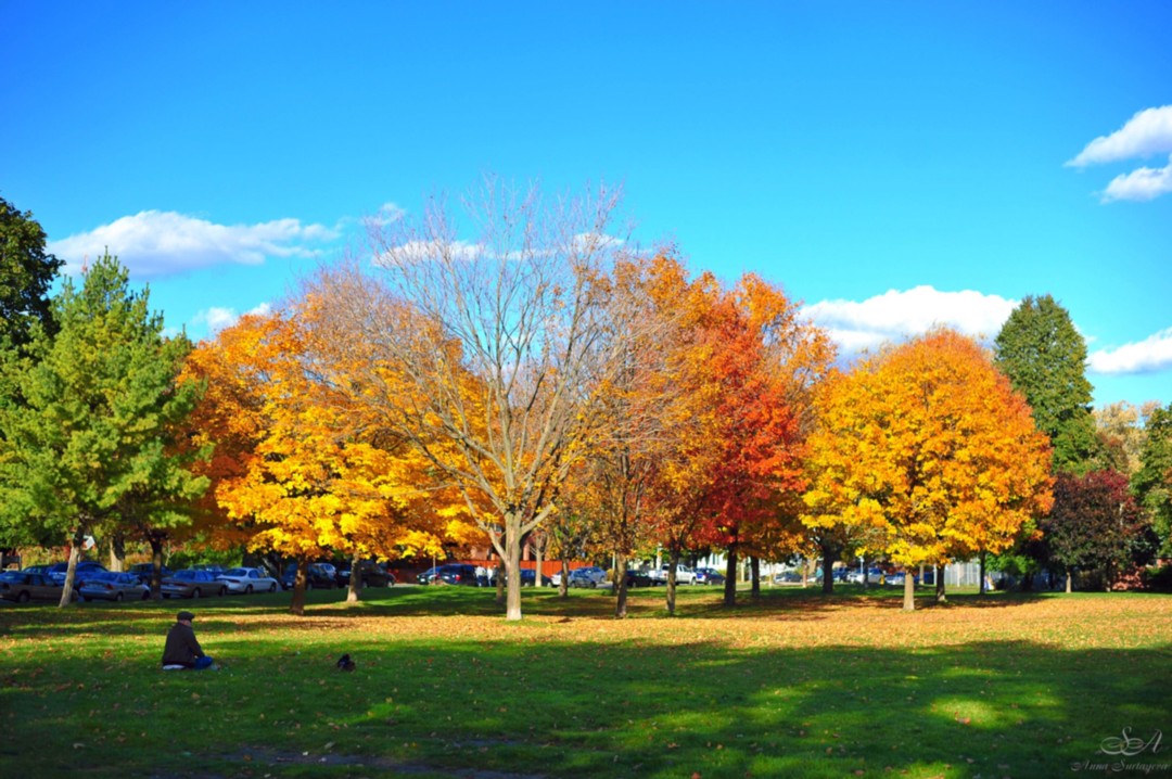 фото "Autumn" метки: пейзаж, осень