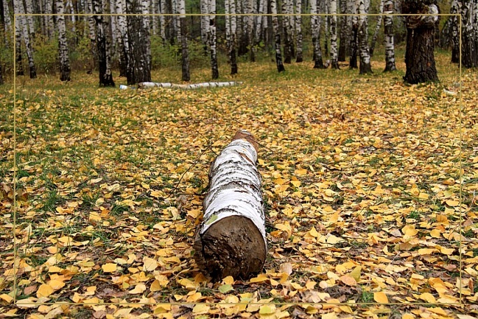 photo "***" tags: landscape, autumn